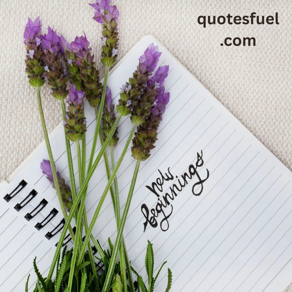 New Beginning Quotes About Change in Life