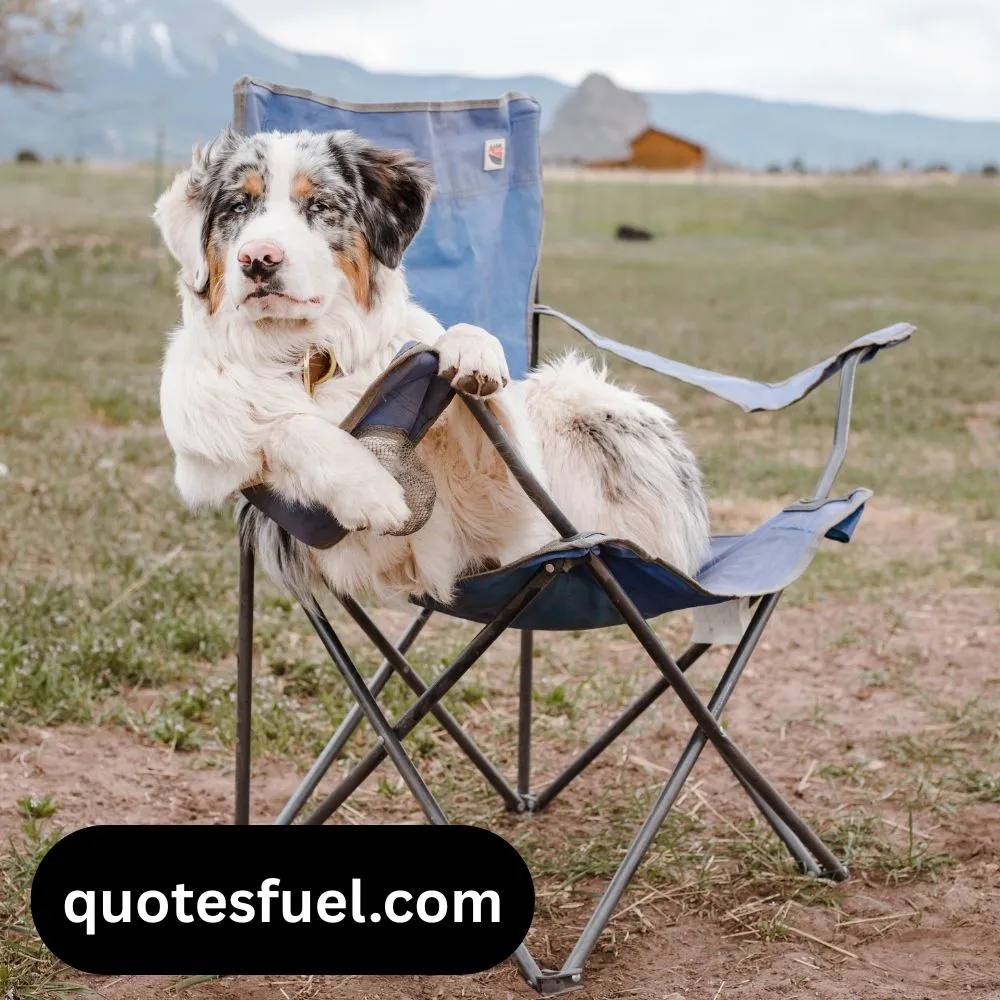 Positive Monday Quotes Funny