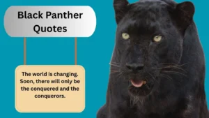 Read more about the article 300+Powerful Black Panther Quotes That Inspire Strength and Unity for 2025