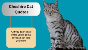 Read more about the article 1100+Best Cheshire Cat Quotes for 2025
