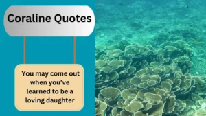 Read more about the article 50+ Best Coraline Quotes That Are Mysterious and Magical for 2025