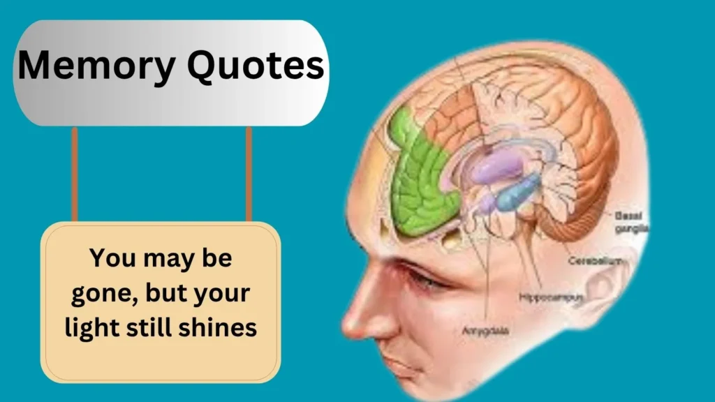 Top 440+Best Memory Quotes for 2025