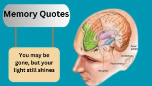 Read more about the article Top 440+Best Memory Quotes for 2025