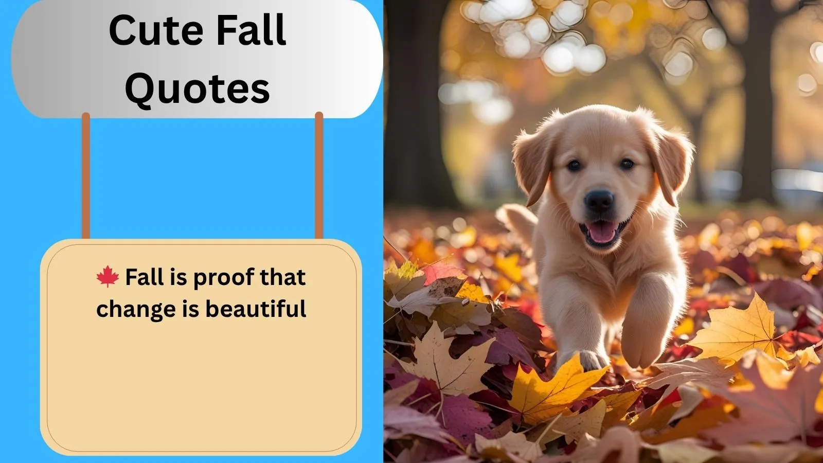 Read more about the article Top 150+Best Cute Fall Quotes for 2025
