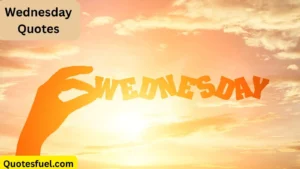 Read more about the article Top 200+ Best Wednesday Quotes for Work for 2025