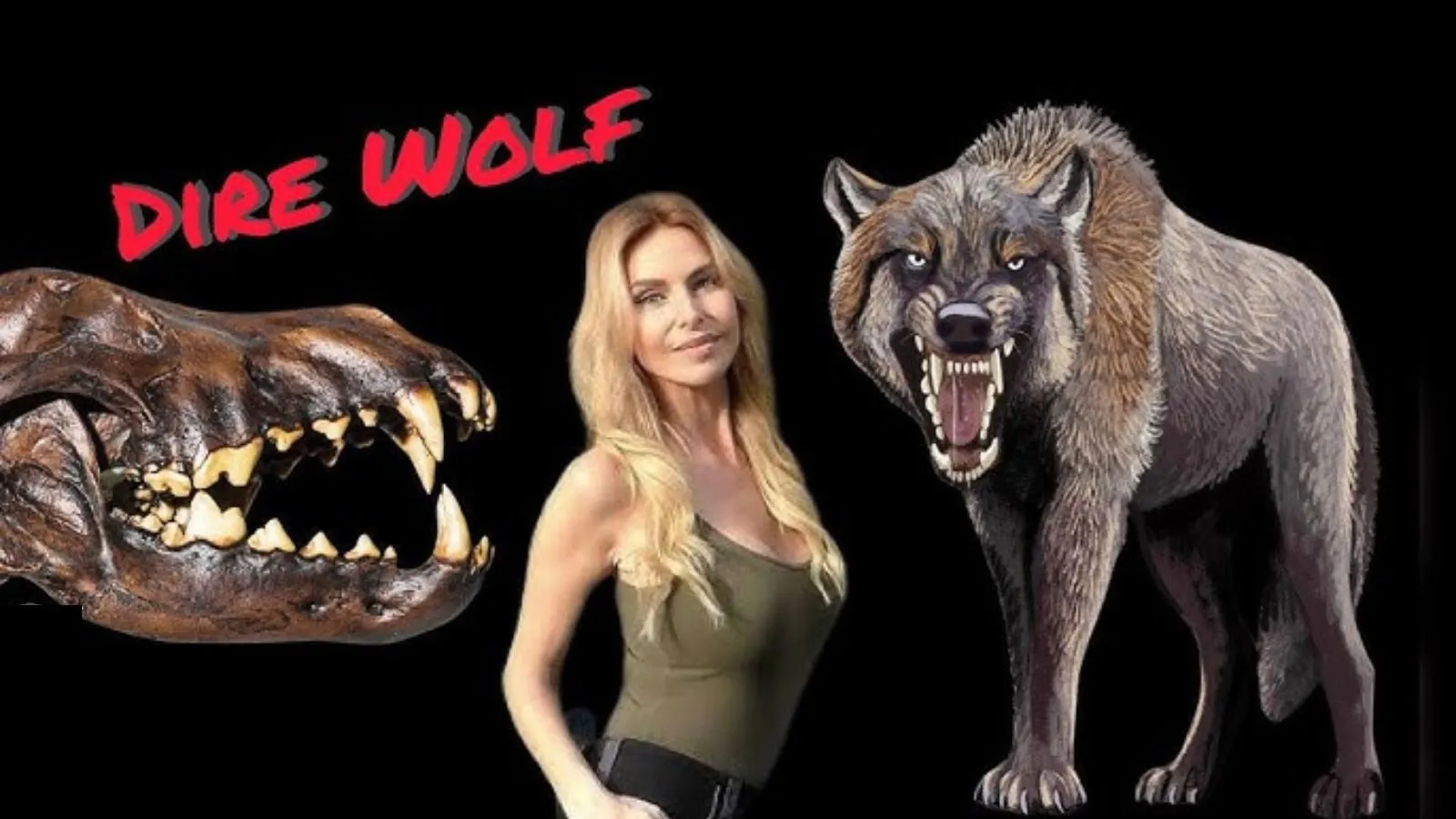 You are currently viewing Dire Wolf Weight Explained: What Made Them Giants the Ice Age