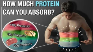Read more about the article Protein Per Pound of Body Weight Do You Really Need in 2026